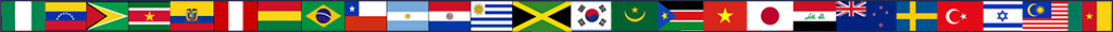 International Flag Banner