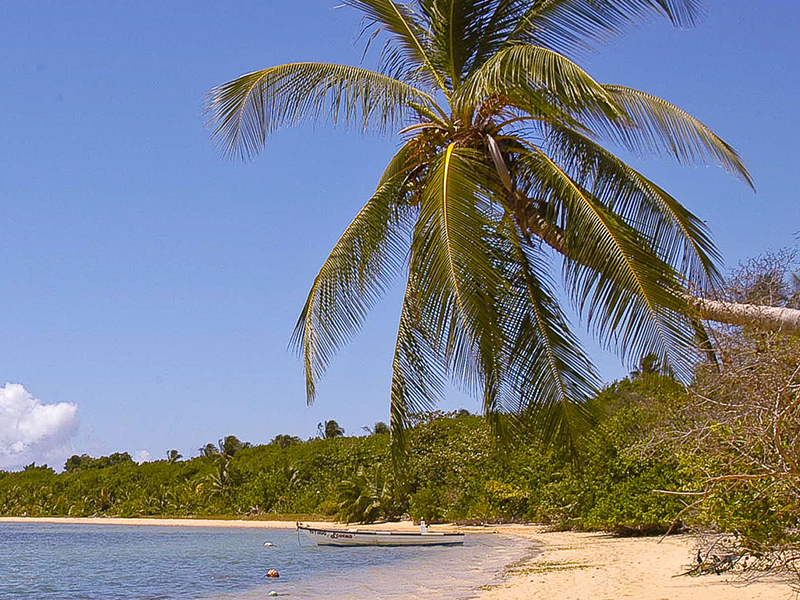 Landscape of Trinidad