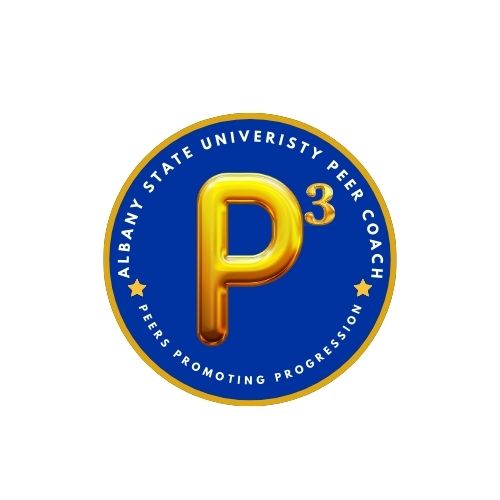 P3